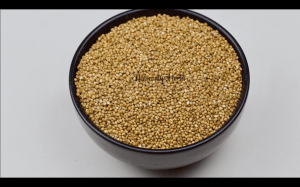 Kodo millet varient 1